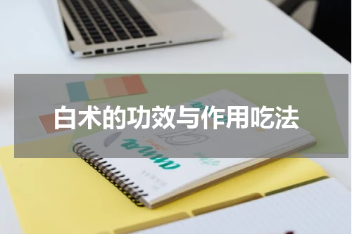 白术的功效与作用吃法