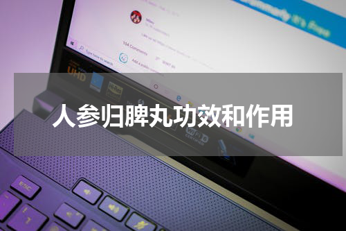 人参归脾丸功效和作用
