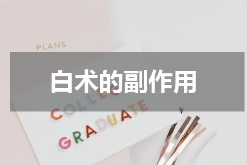 白术的副作用