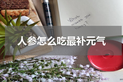 人参怎么吃最补元气