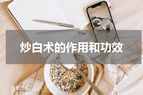 炒白术的作用和功效