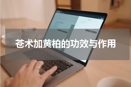 苍术加黄柏的功效与作用