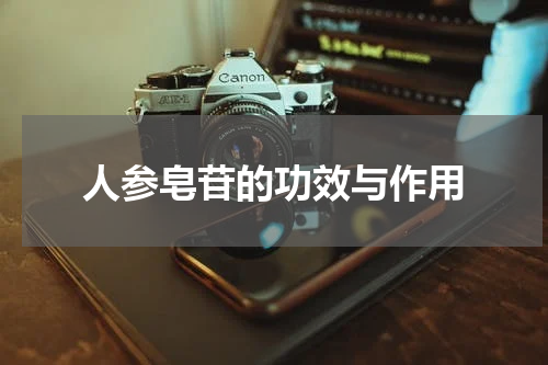 人参皂苷的功效与作用