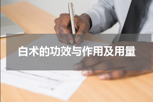 白术的功效与作用及用量