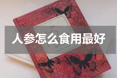 人参怎么食用最好