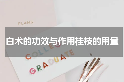白术的功效与作用桂枝的用量