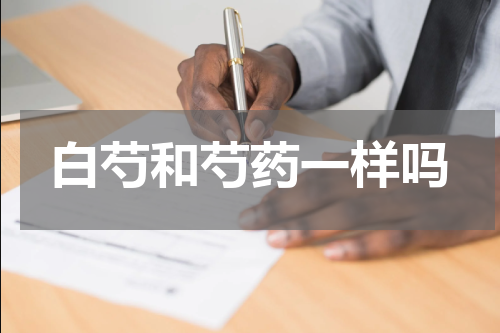 白芍和芍药一样吗