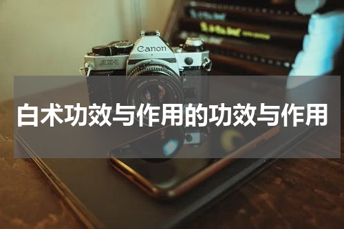 白术功效与作用的功效与作用
