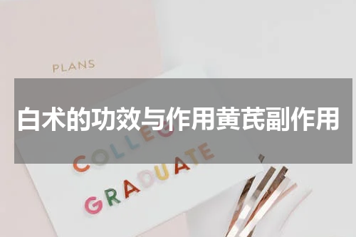 白术的功效与作用黄芪副作用