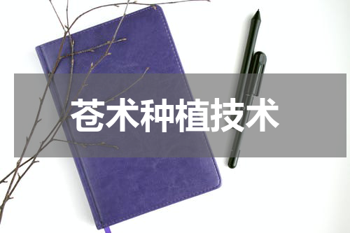 苍术种植技术