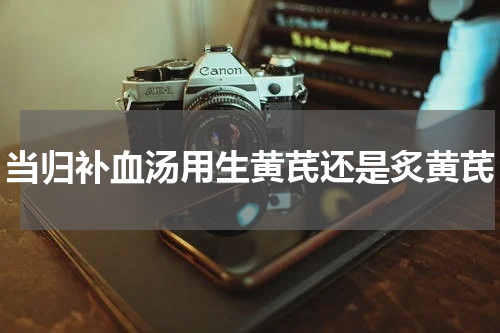 当归补血汤用生黄芪还是炙黄芪
