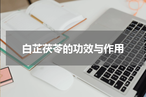 白芷茯苓的功效与作用