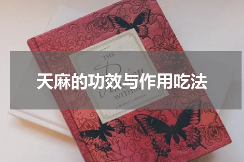 天麻的功效与作用吃法
