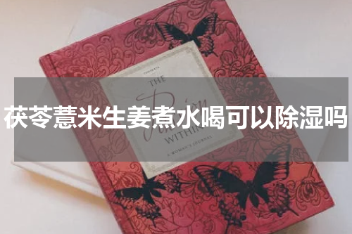 茯苓薏米生姜煮水喝可以除湿吗