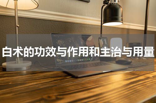 白术的功效与作用和主治与用量