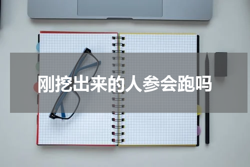 刚挖出来的人参会跑吗