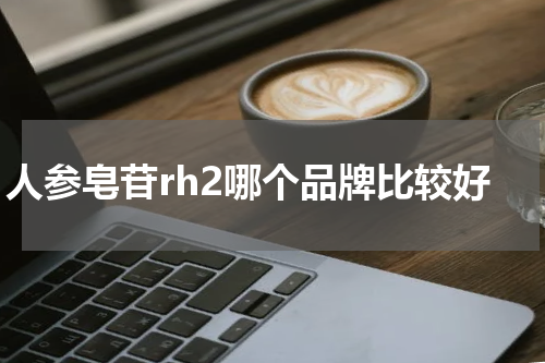 人参皂苷rh2哪个品牌比较好