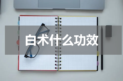 白术什么功效