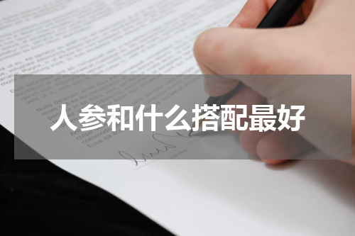 人参和什么搭配最好