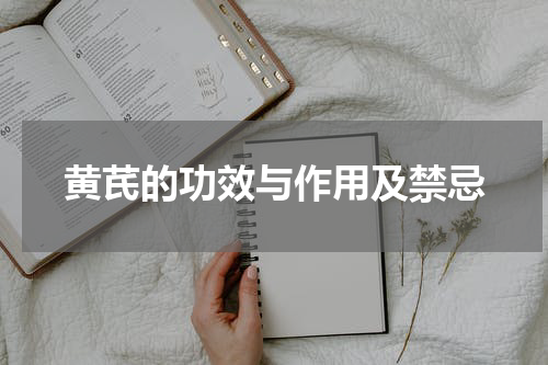 黄芪的功效与作用及禁忌