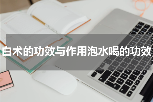 白术的功效与作用泡水喝的功效