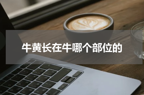 牛黄长在牛哪个部位的