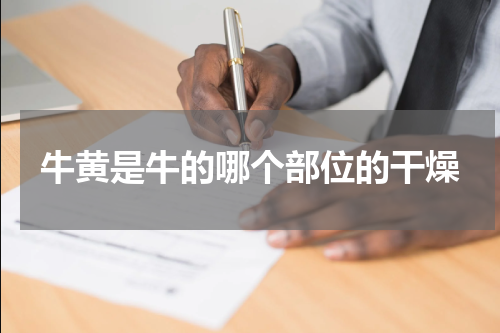 牛黄是牛的哪个部位的干燥