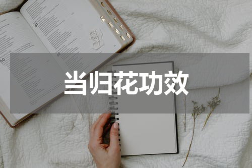 当归花功效