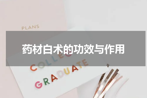 药材白术的功效与作用