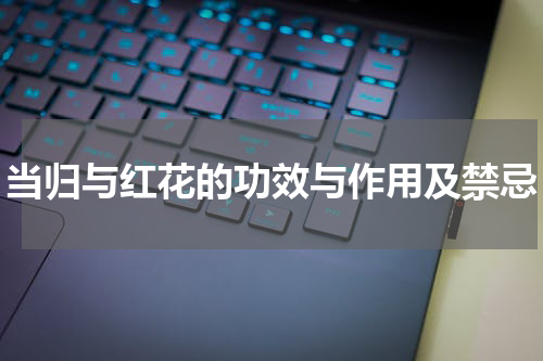 当归与红花的功效与作用及禁忌