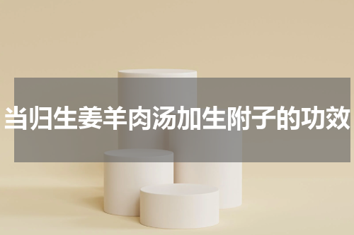 当归生姜羊肉汤加生附子的功效