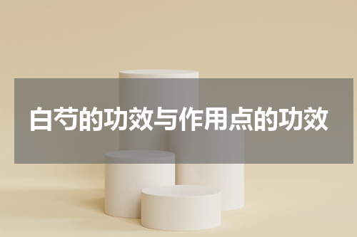 白芍的功效与作用点的功效