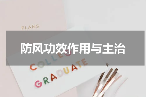 防风功效作用与主治