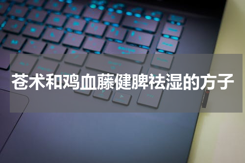 苍术和鸡血藤健脾祛湿的方子
