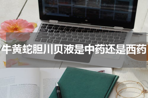 牛黄蛇胆川贝液是中药还是西药