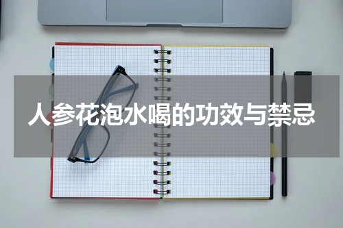 人参花泡水喝的功效与禁忌