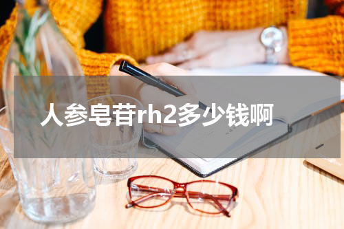 人参皂苷rh2多少钱啊