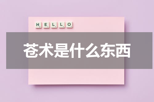 苍术是什么东西