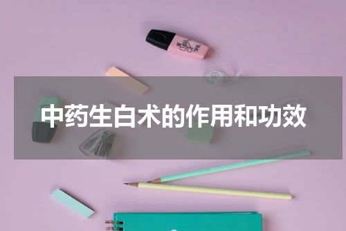 中药生白术的作用和功效