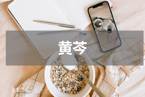 黄芩