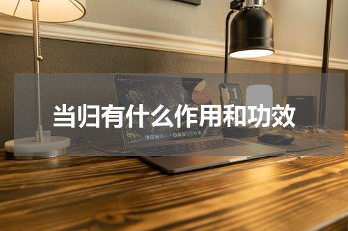 当归有什么作用和功效