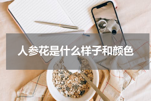 人参花是什么样子和颜色