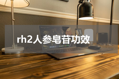 rh2人参皂苷功效