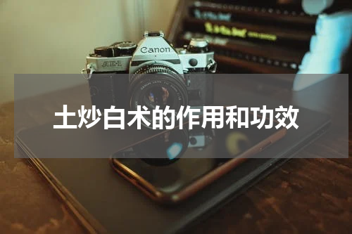 土炒白术的作用和功效