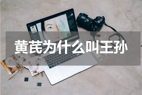 黄芪为什么叫王孙