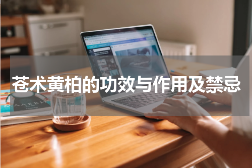 苍术黄柏的功效与作用及禁忌