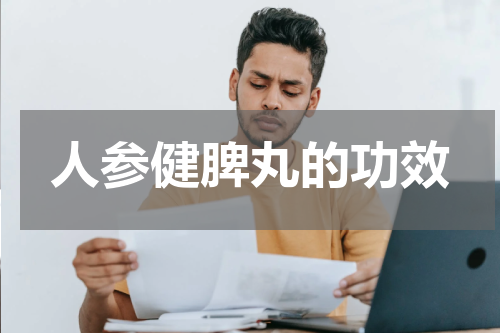 人参健脾丸的功效