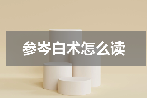 参岑白术怎么读