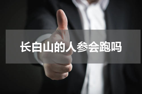 长白山的人参会跑吗