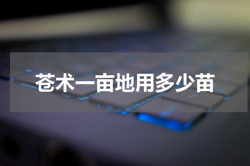 苍术一亩地用多少苗